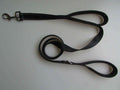 Enhance Walks with Our Pet Double Handle Pull Leash