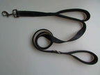 Enhance Walks with Our Pet Double Handle Pull Leash