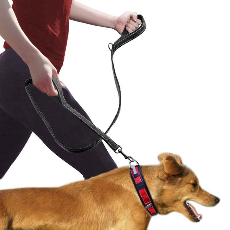 Enhance Walks with Our Pet Double Handle Pull Leash